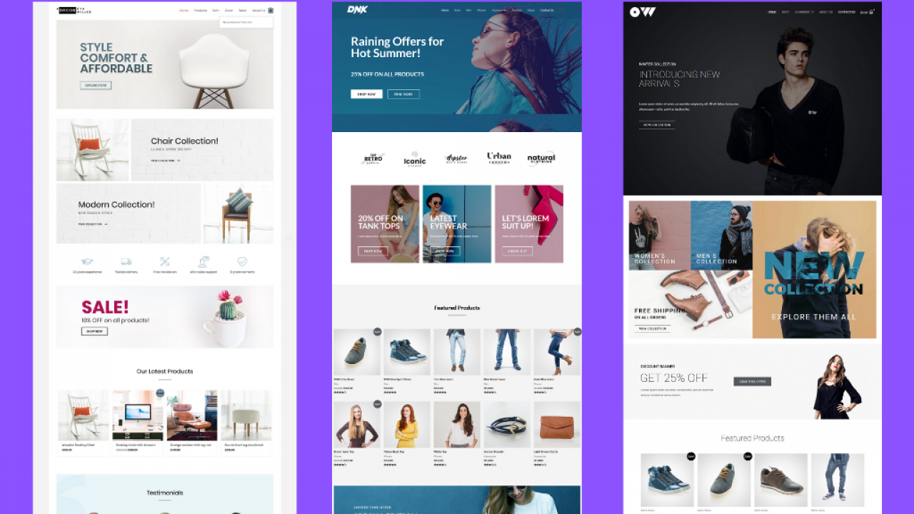 an Ecommerce Website with WordPress